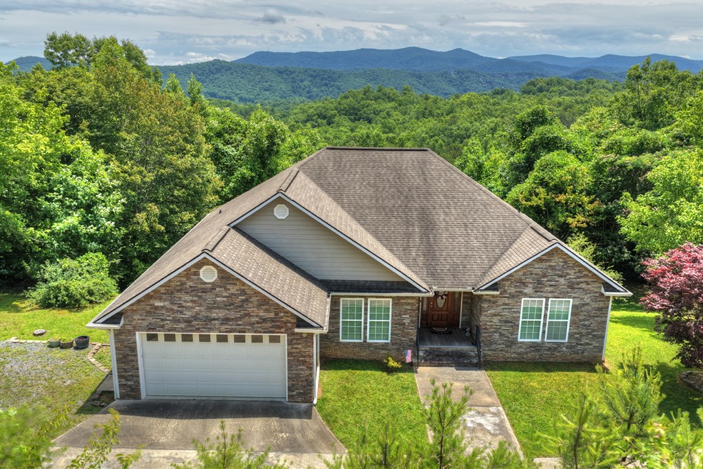 1207 Bullen Gap Road Blue Ridge, GA 30513 - Photo 3 of 61