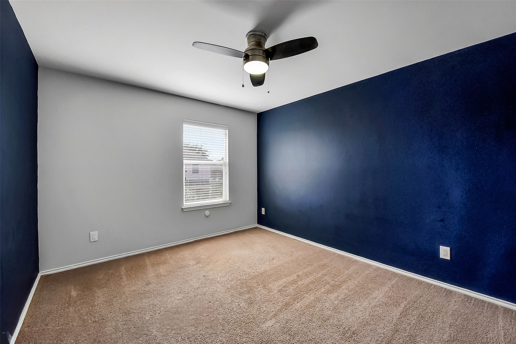 20011 Spring Wreath Lane Cypress, TX 77433 - Photo 26 of 39 Secondary bedroom #2 with a deep blue feature wall, ceiling fan, and plush carpet.
