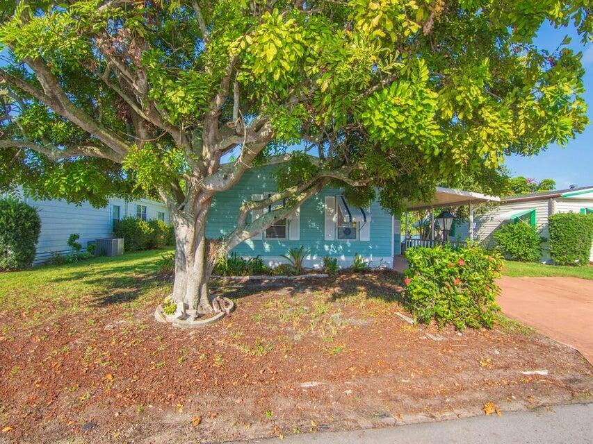 a view of a tree in front of a house
