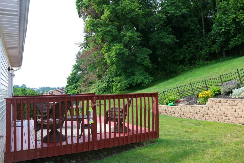 Deck/Yard