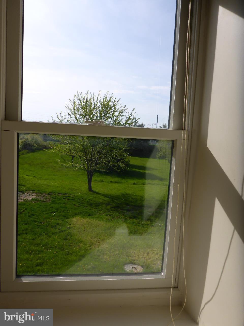 1345 Rock Springs Road Rising Sun, MD 21911 - Photo 28 of 29 Thermal Windows