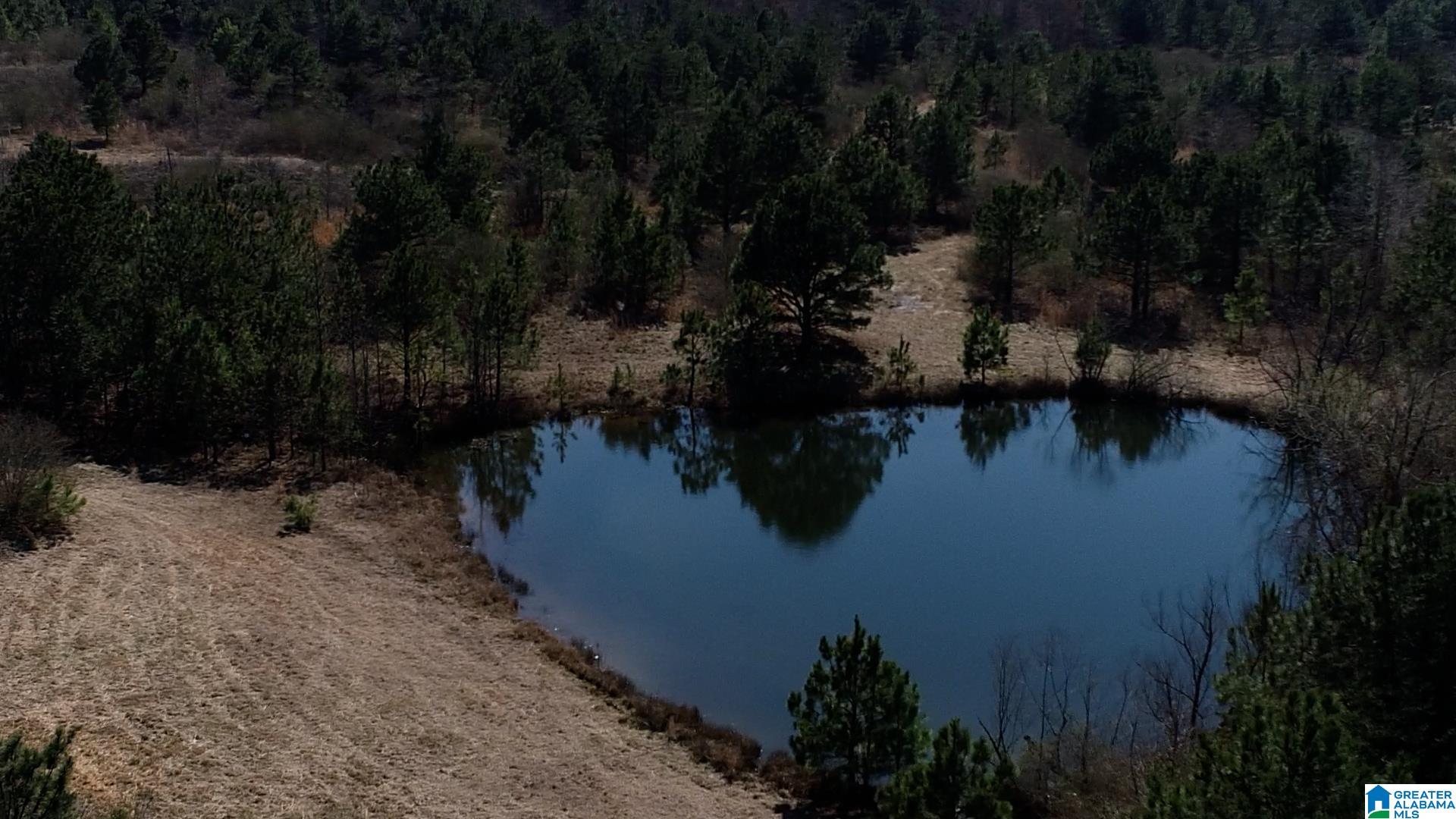 0 Jones Chapel Loop, Unit 20 ACRES Springville, AL 35146 - Photo 11 of 13