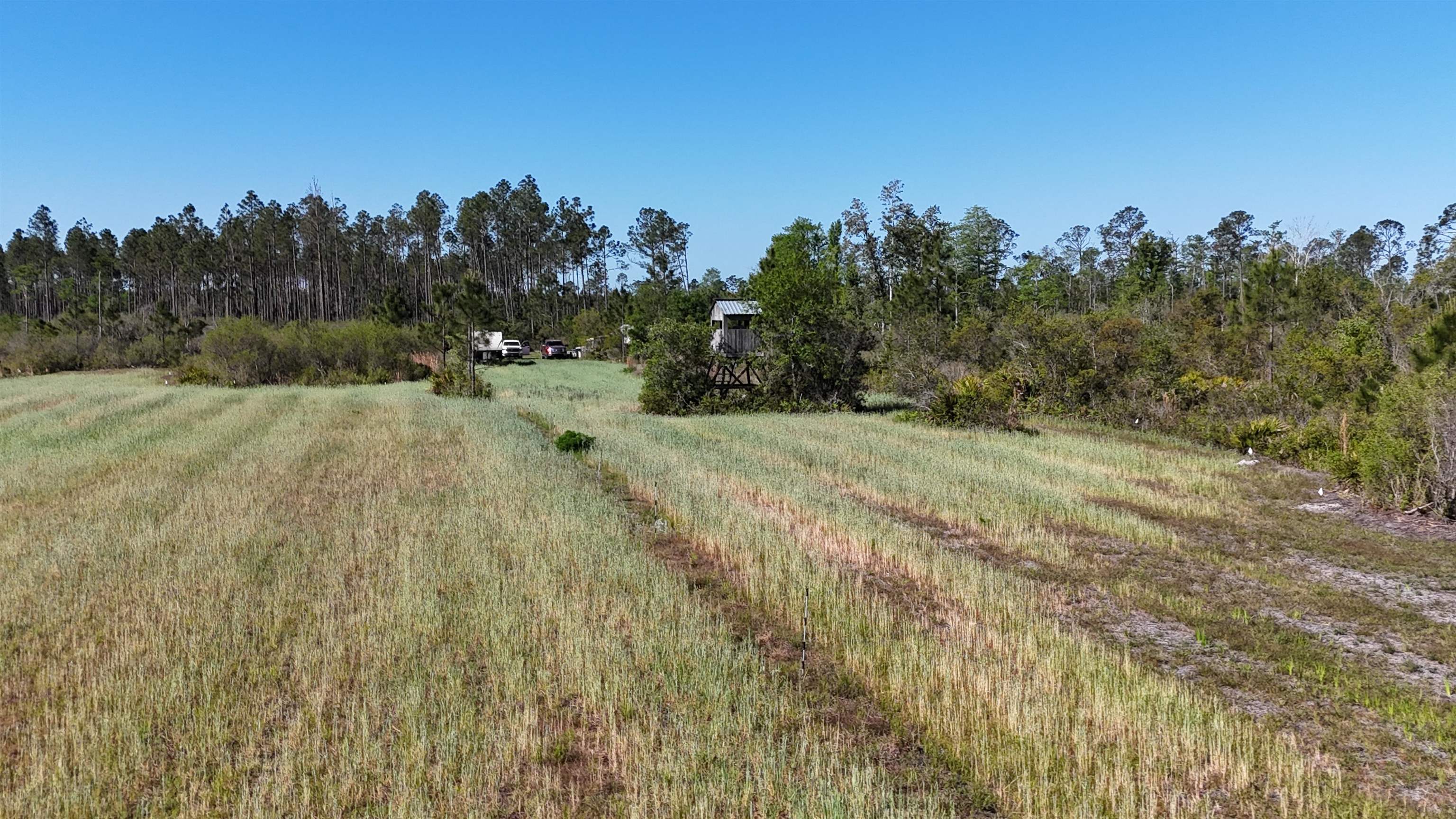 0 Madison Main Line Road Perry, FL 32347 - Photo 7 of 50
