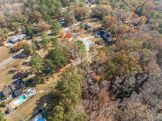 a view of a flower in a garden