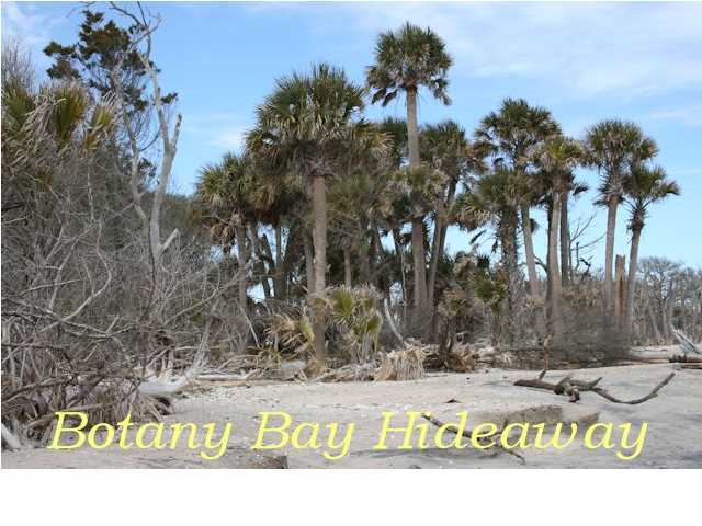 8526 Chisolm Plantation Road Edisto Island, SC 29438 - Photo 22 of 23 Additional Photo