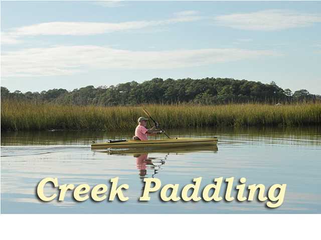 8526 Chisolm Plantation Road Edisto Island, SC 29438 - Photo 8 of 23 Additional Photo