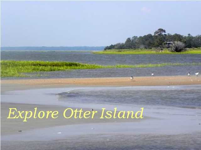 8526 Chisolm Plantation Road Edisto Island, SC 29438 - Photo 9 of 23 Additional Photo