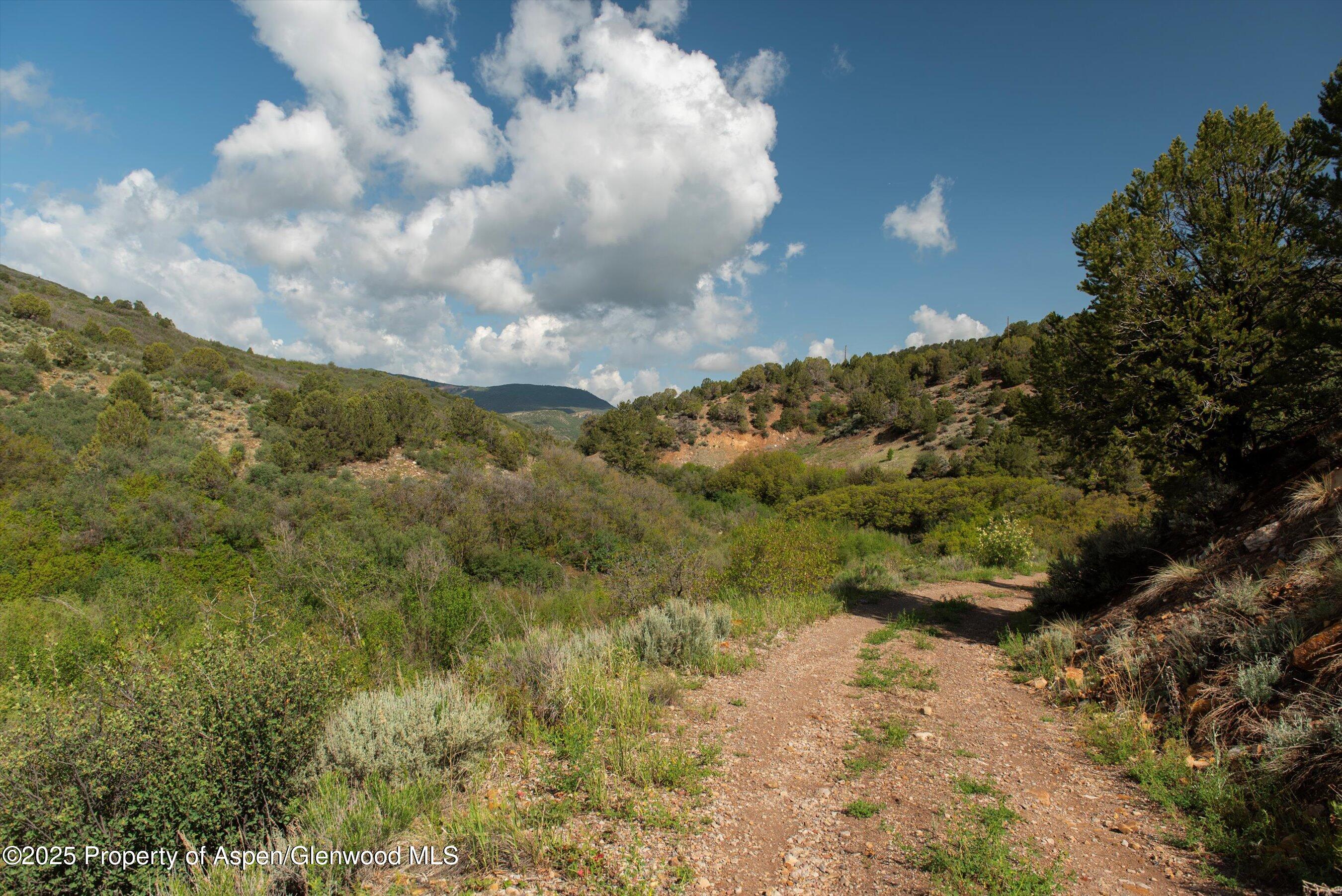 3691 East Sopris Creek Road Basalt, CO 81621 - Photo 12 of 21