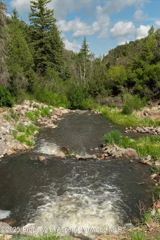 a view of a road with plants and trees