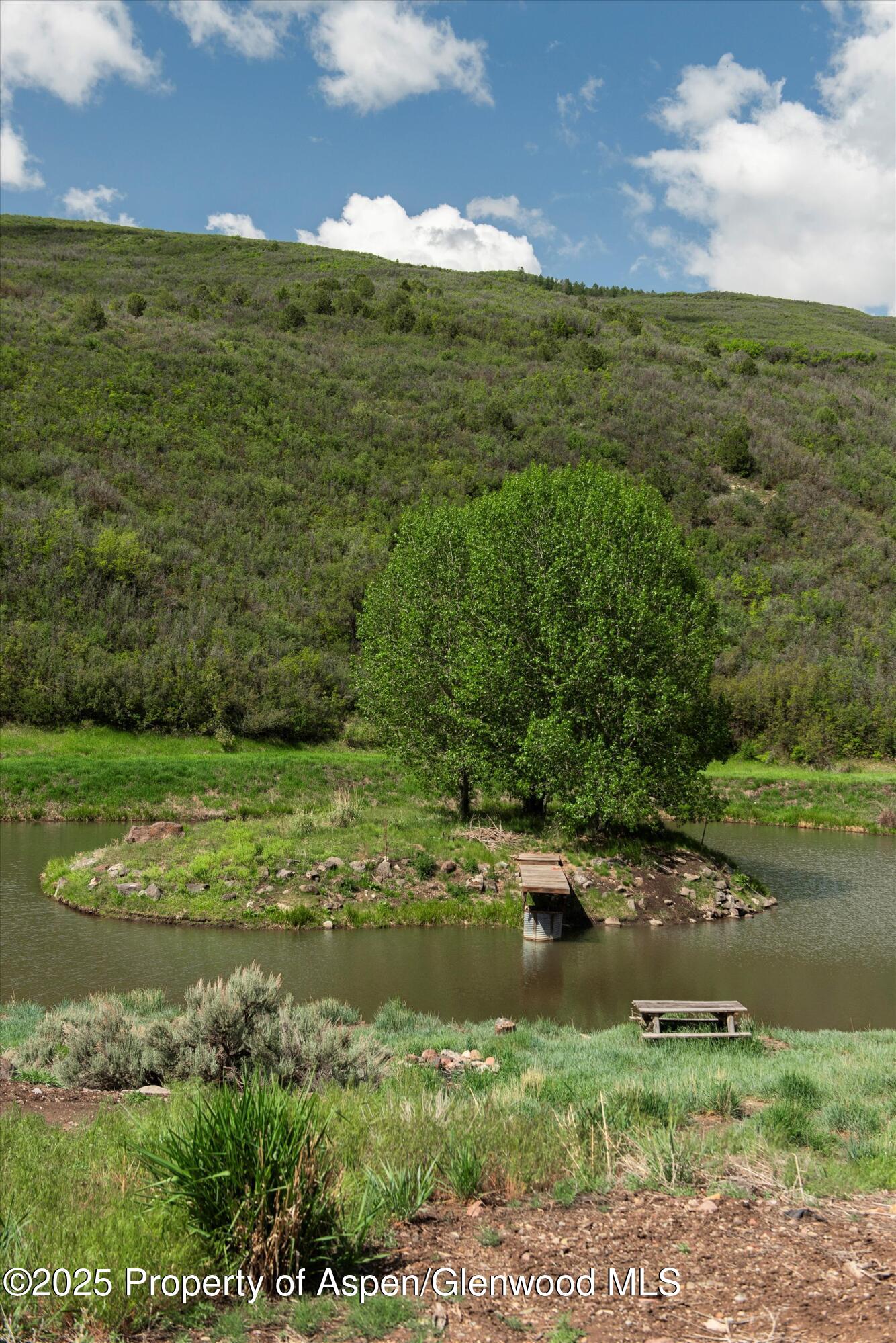3691 East Sopris Creek Road Basalt, CO 81621 - Photo 9 of 21 a view of a lake with a yard