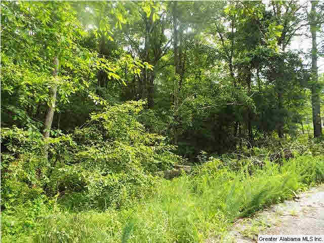 Holiday Drive, Unit 16 17 Ragland, AL 35131 - Photo 3 of 8