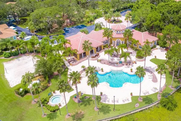 a view of a swimming pool with a lawn chairs and palm tree