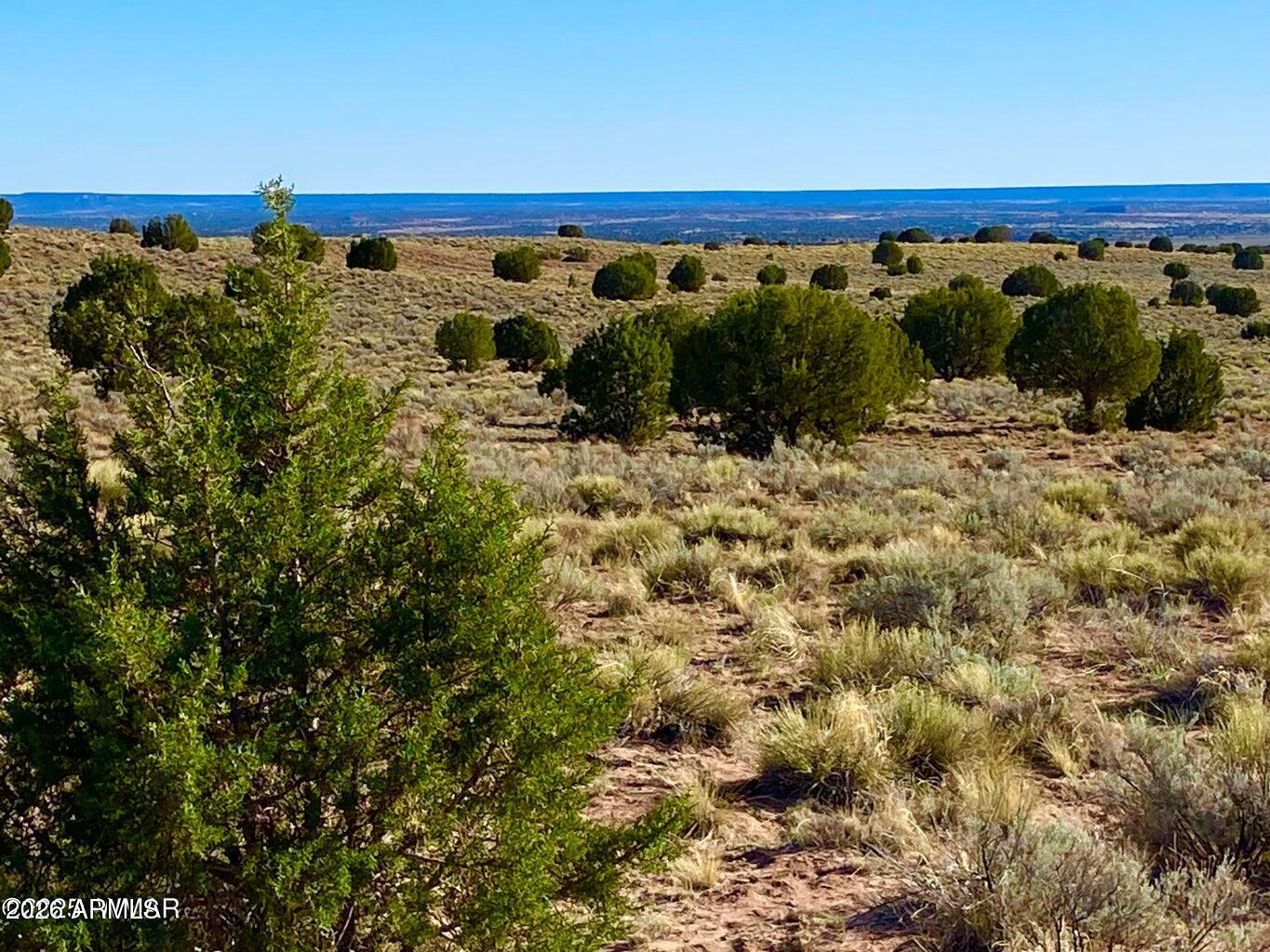 River River Meadows Ranch Concho, AZ 85924 - Photo 1 of 16 20260713061217515449000000-o (1)