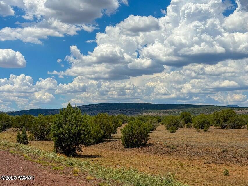 215 Gleed Station Road Ash Fork, AZ 86320 - Photo 12 of 16 Gallery Image 12