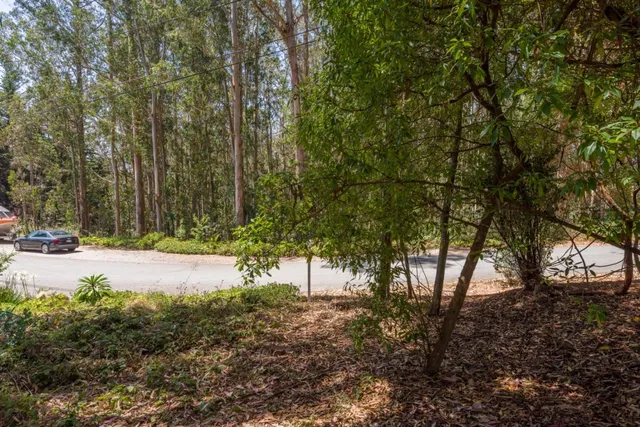 a view of swimming pool with a yard