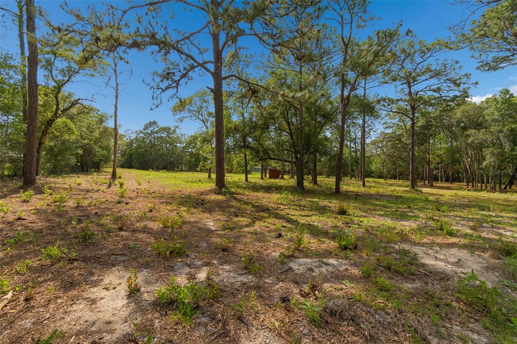 Grove Road Brooksville, FL 34613 - Photo 2 of 26