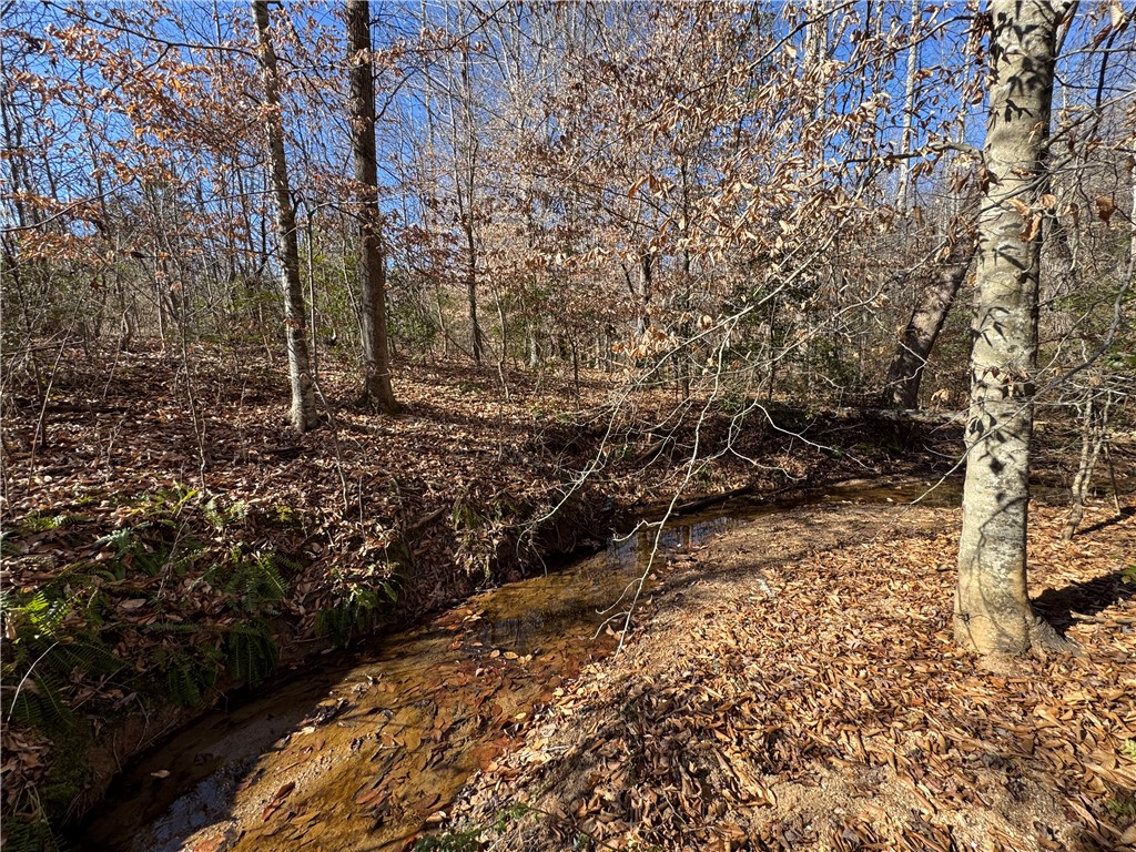 2030 Donaldson Road Anderson, SC 29621 - Photo 29 of 31