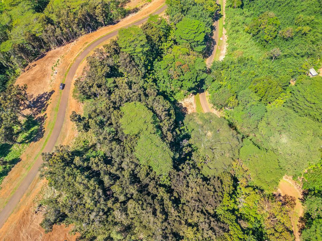 St, Unit 8D Kapaa, HI 96746 - Photo 2 of 7