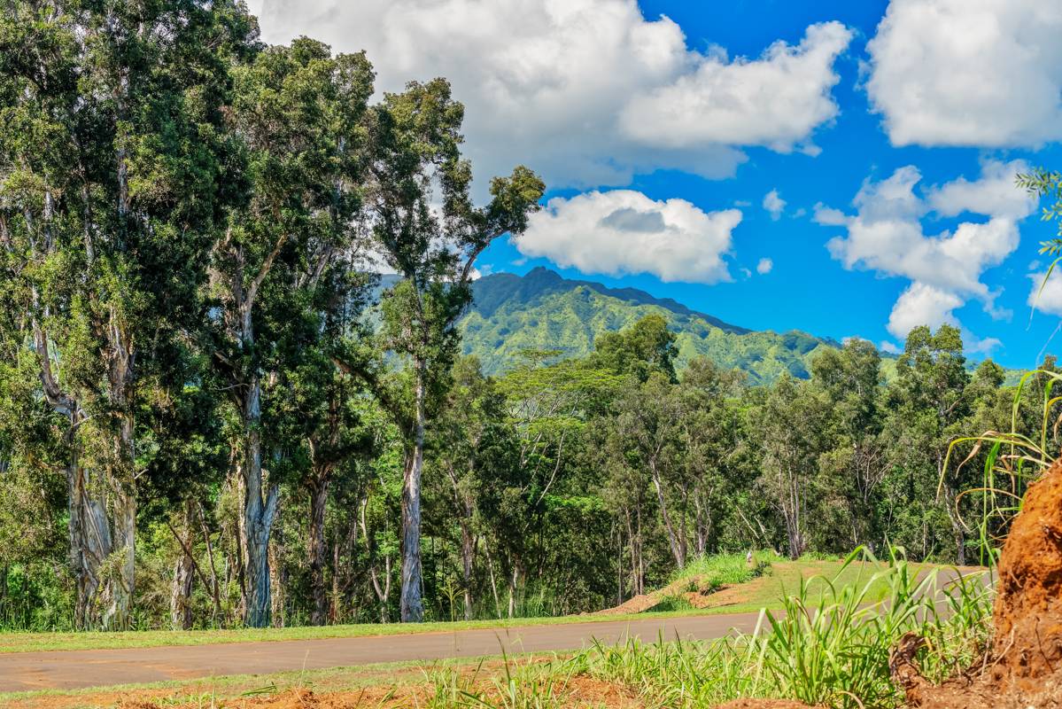 St, Unit 8D Kapaa, HI 96746 - Photo 5 of 7