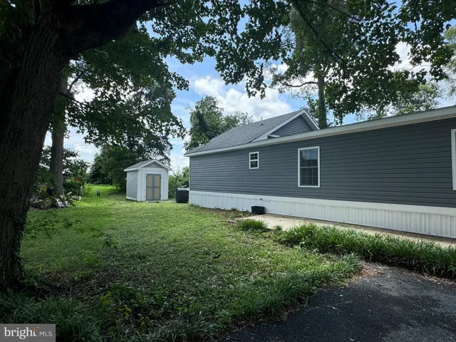 a backyard of a house with plants and large tree