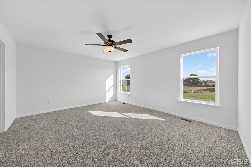 104 Tick Road Silex, MO 63377 - Photo 19 of 46