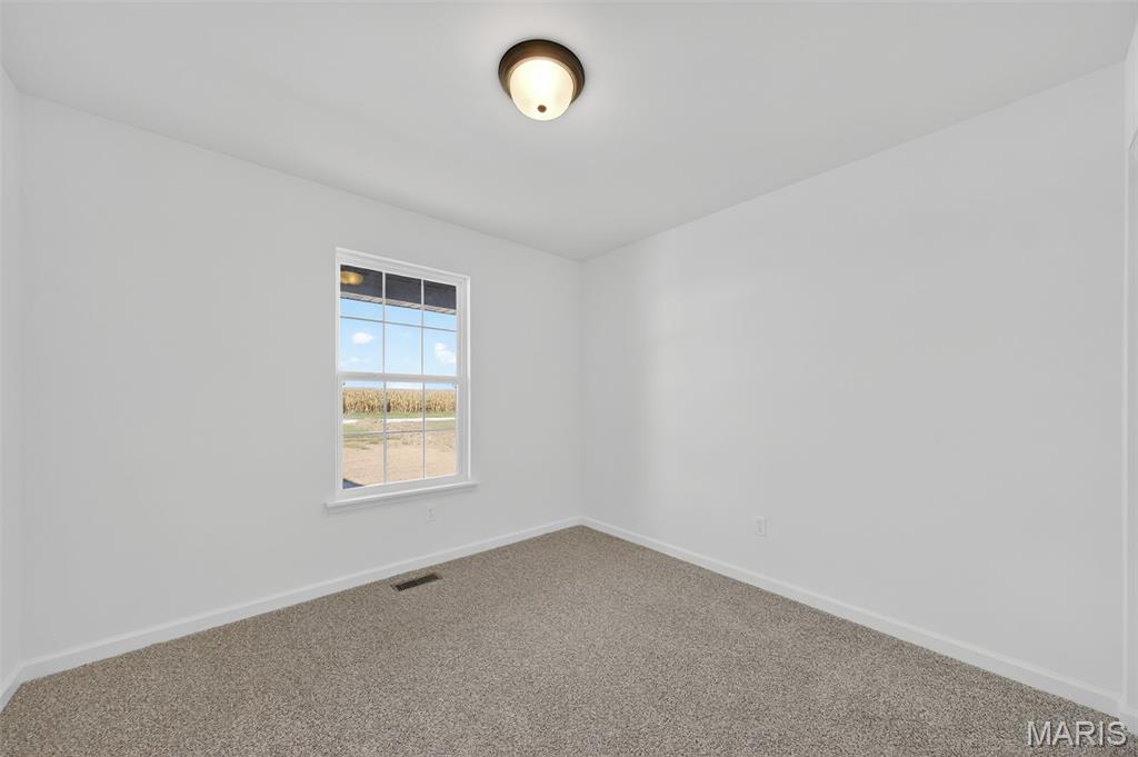 104 Tick Road Silex, MO 63377 - Photo 29 of 46