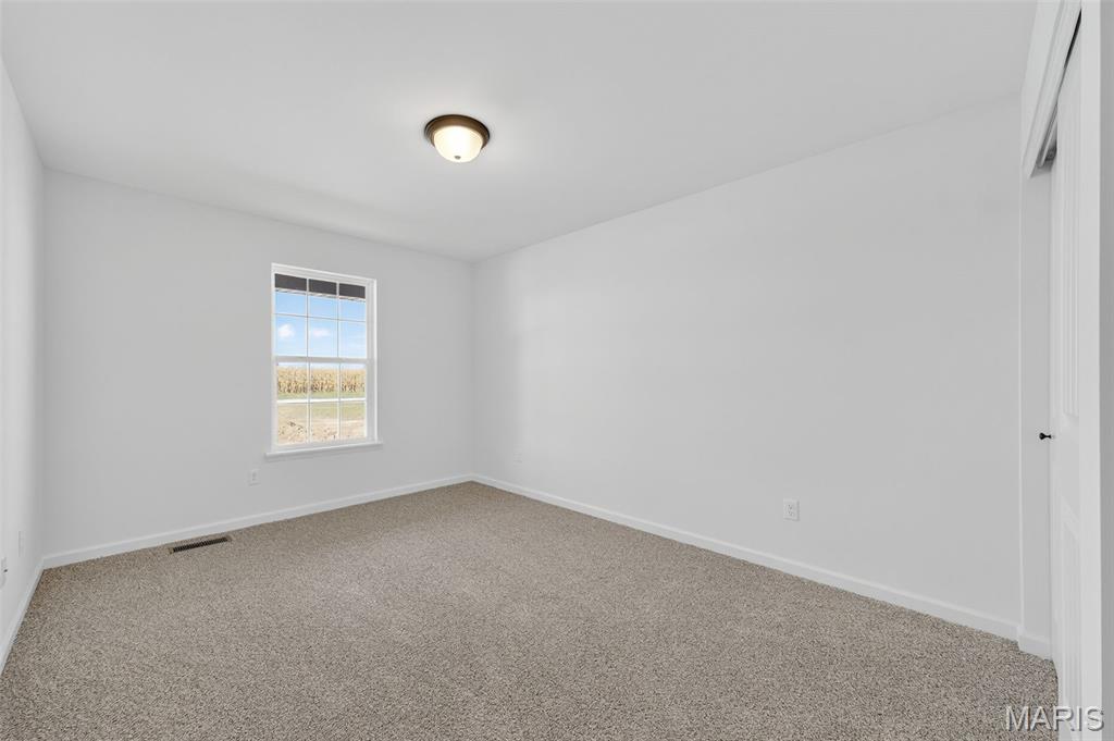 104 Tick Road Silex, MO 63377 - Photo 31 of 46