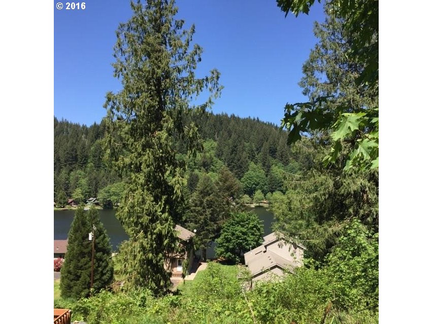 71432 Fishhawk Road Birkenfeld, OR 97016 - Photo 1 of 12