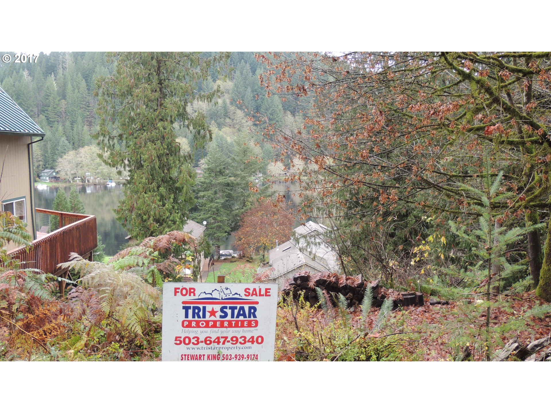 71432 Fishhawk Road Birkenfeld, OR 97016 - Photo 4 of 12