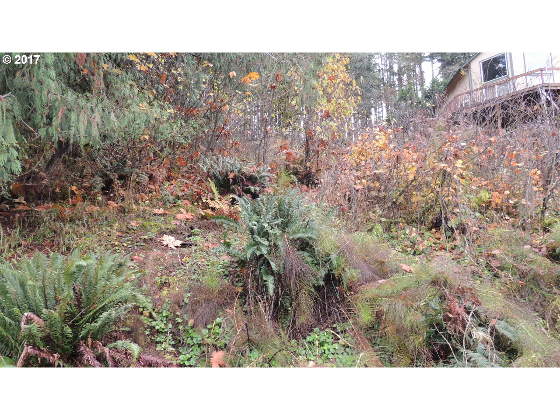 71432 Fishhawk Road Birkenfeld, OR 97016 - Photo 5 of 12