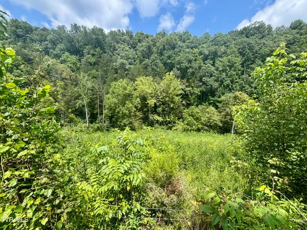 $74,999 | Tbd Old Friendship Road, Jonesville, VA 24263