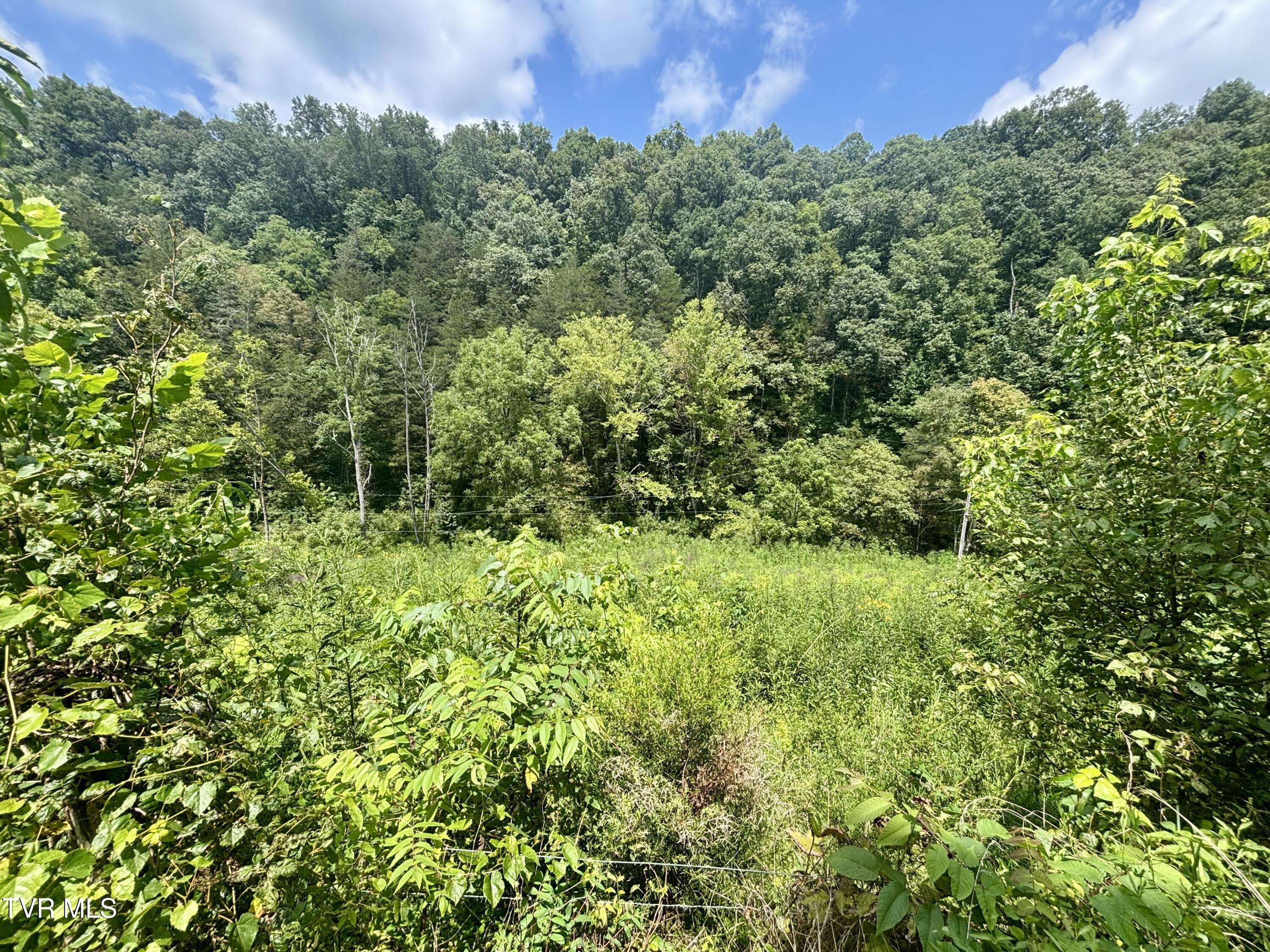 Tbd Old Friendship Road Jonesville, VA 24263 - Photo 11 of 11 IMG_3221