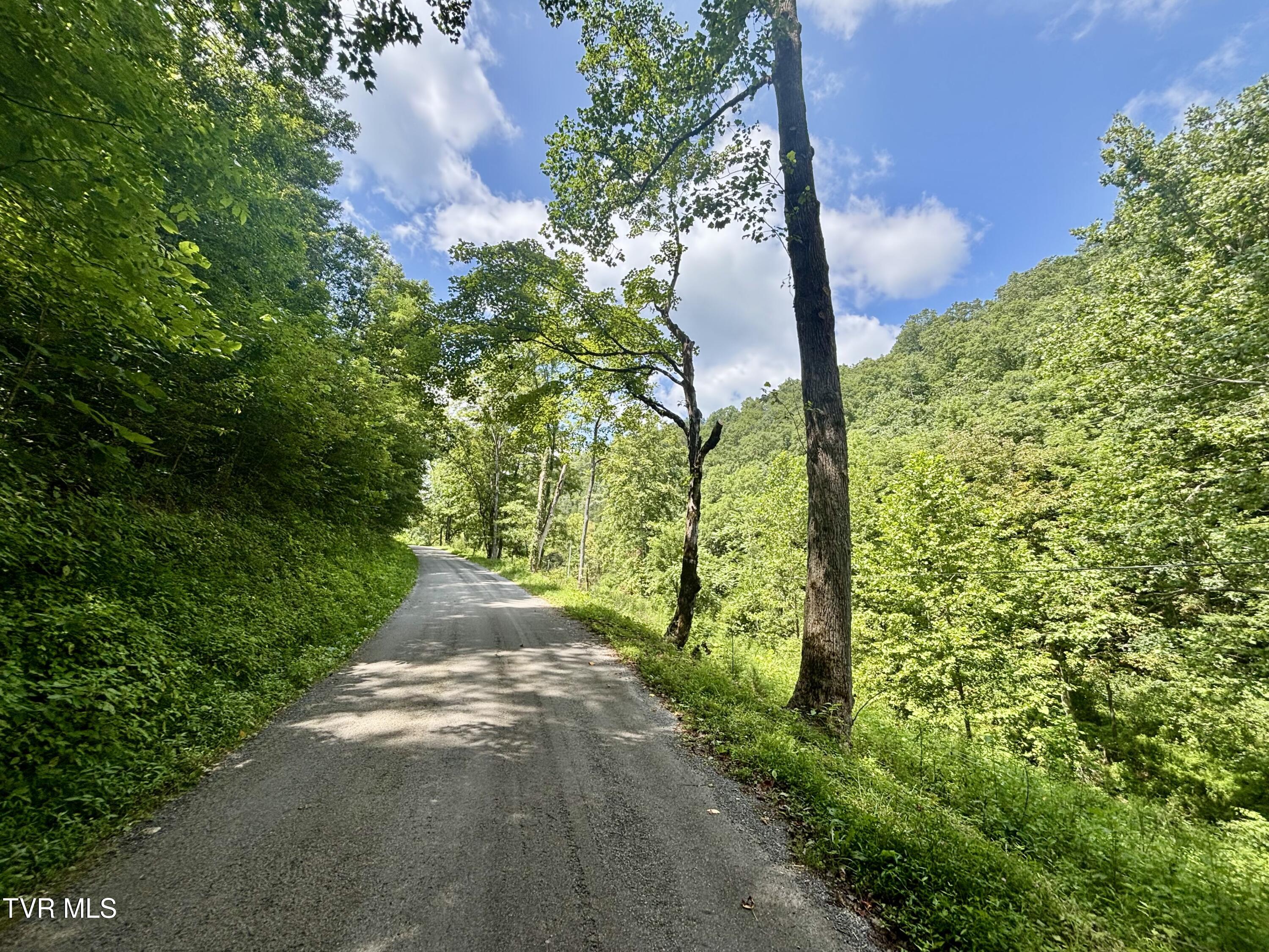 Tbd Old Friendship Road Jonesville, VA 24263 - Photo 2 of 11 IMG_3233