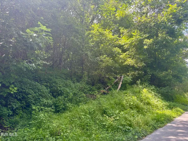 $74,999 | Tbd Old Friendship Road, Jonesville, VA 24263