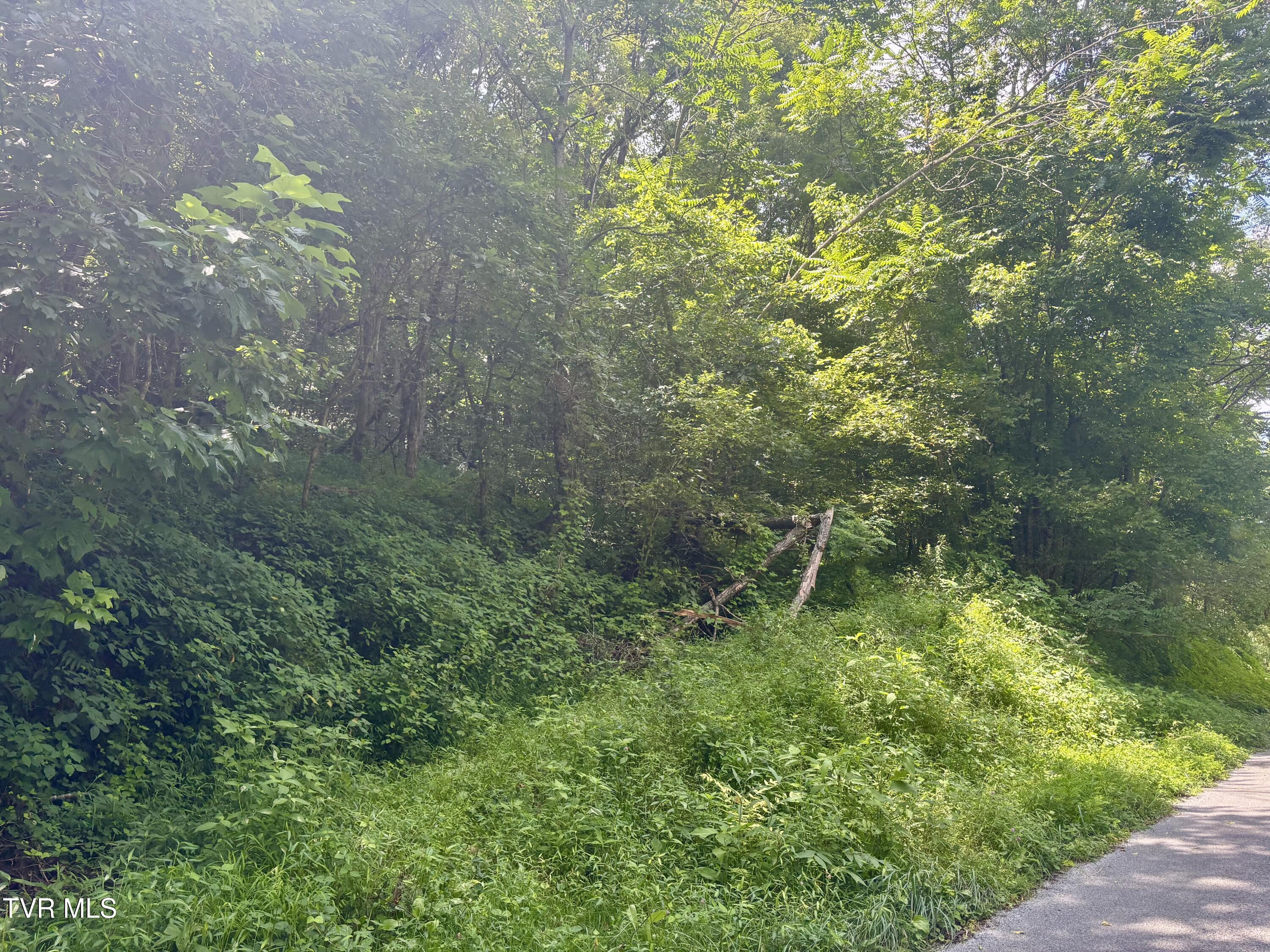 Tbd Old Friendship Road Jonesville, VA 24263 - Photo 3 of 11 IMG_3235