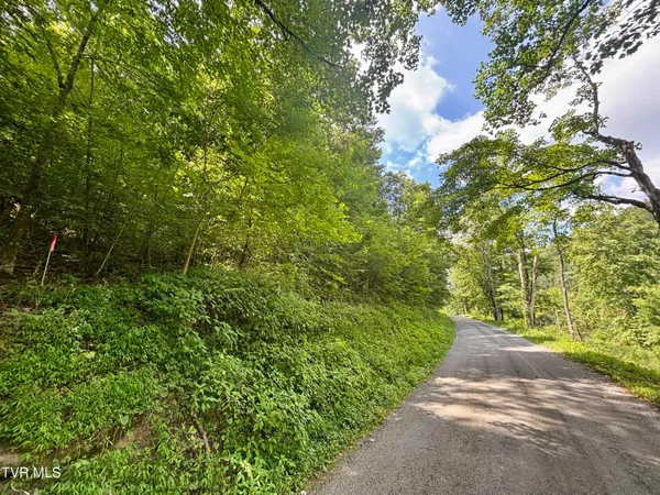 $74,999 | Tbd Old Friendship Road, Jonesville, VA 24263