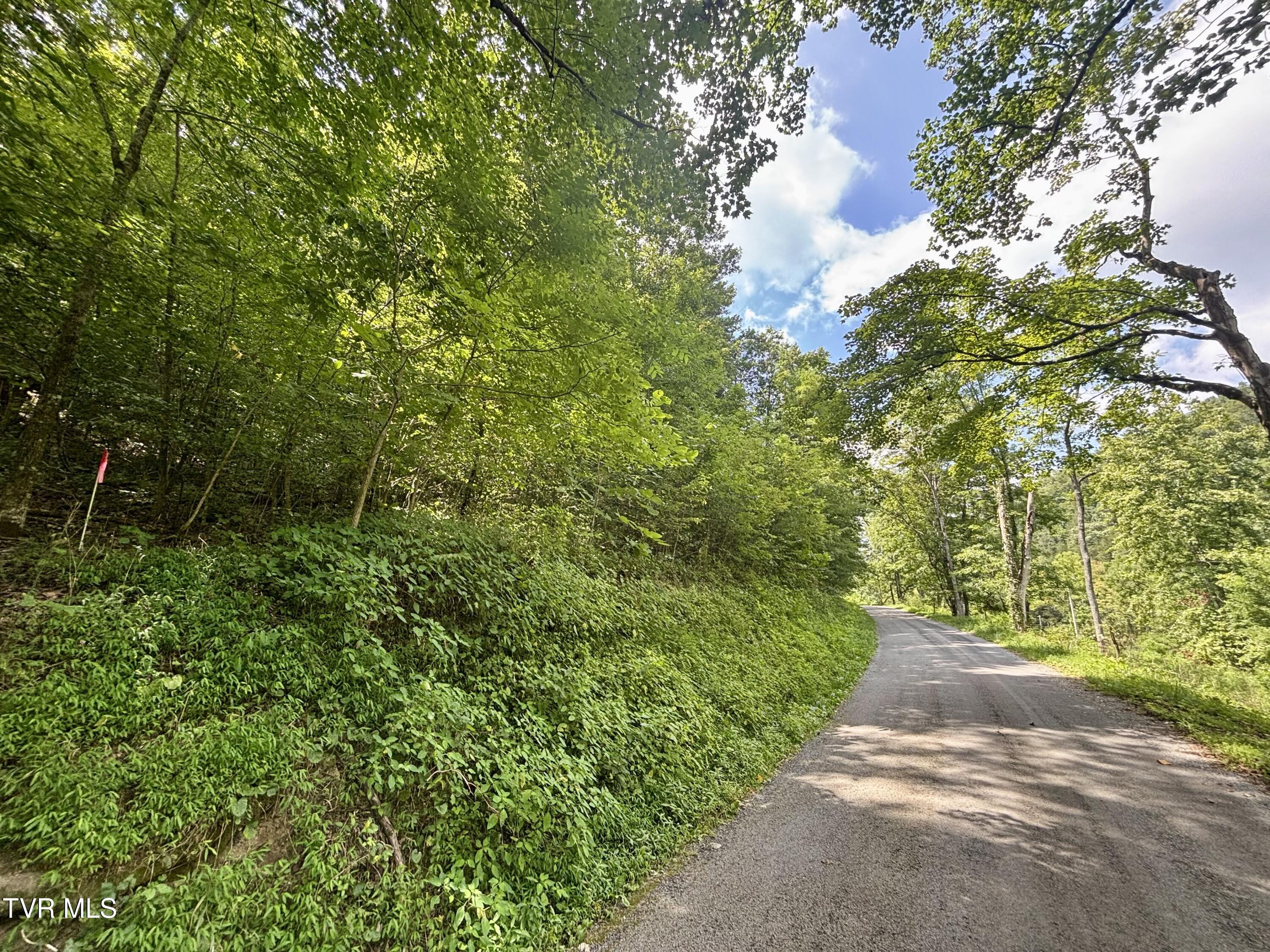 Tbd Old Friendship Road Jonesville, VA 24263 - Photo 4 of 11 IMG_3232