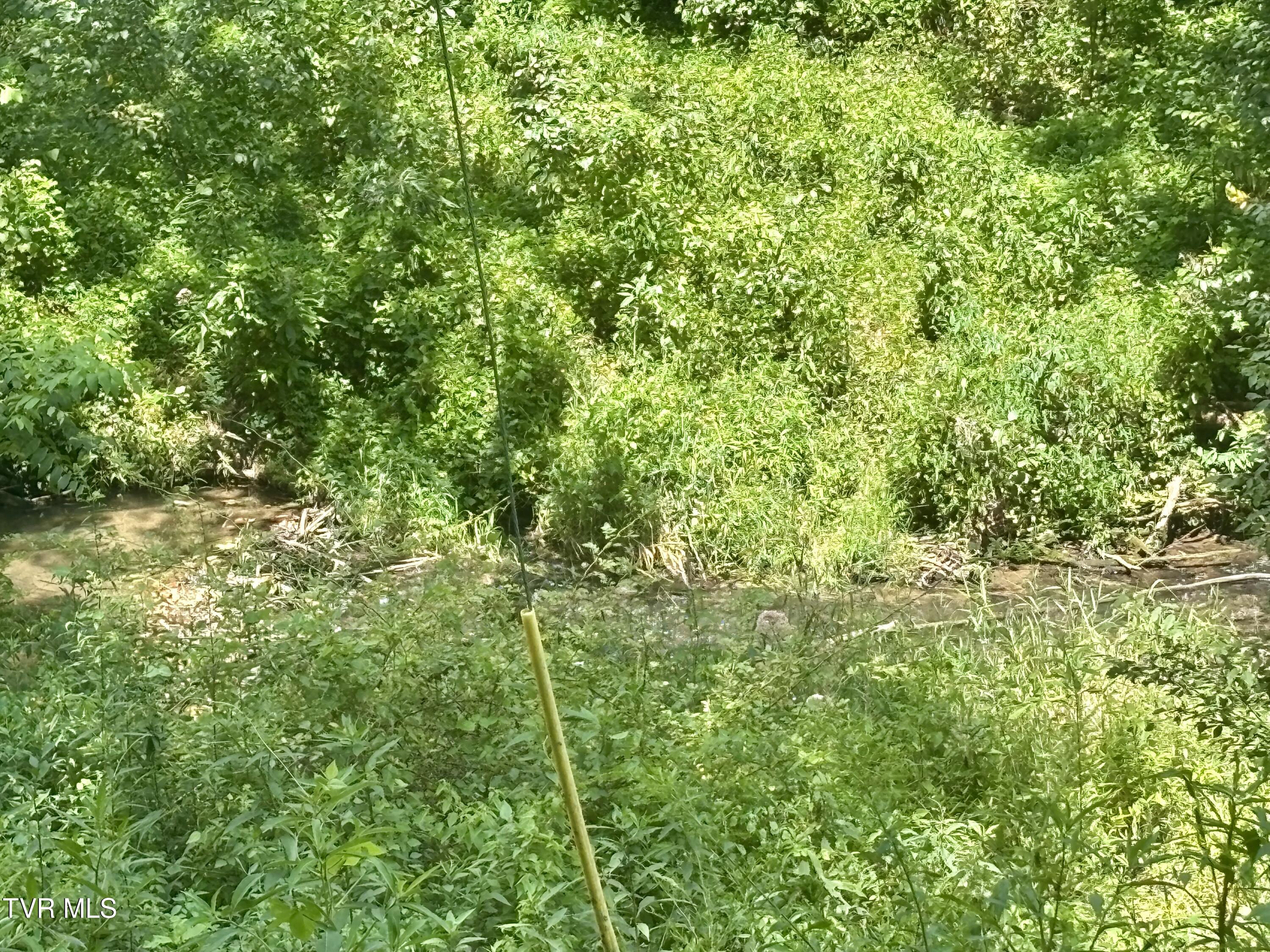 Tbd Old Friendship Road Jonesville, VA 24263 - Photo 5 of 11 IMG_3231