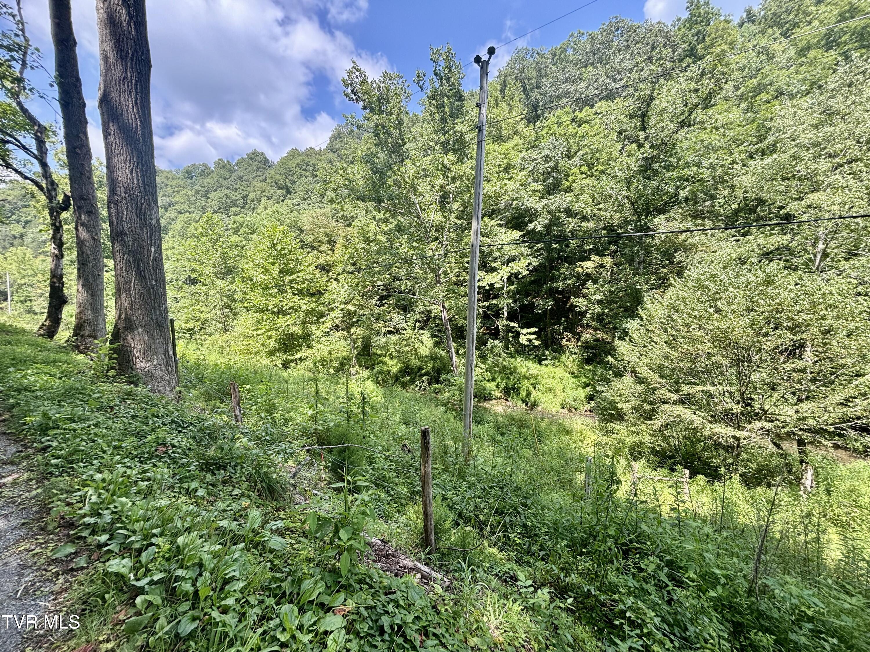 Tbd Old Friendship Road Jonesville, VA 24263 - Photo 6 of 11 IMG_3230