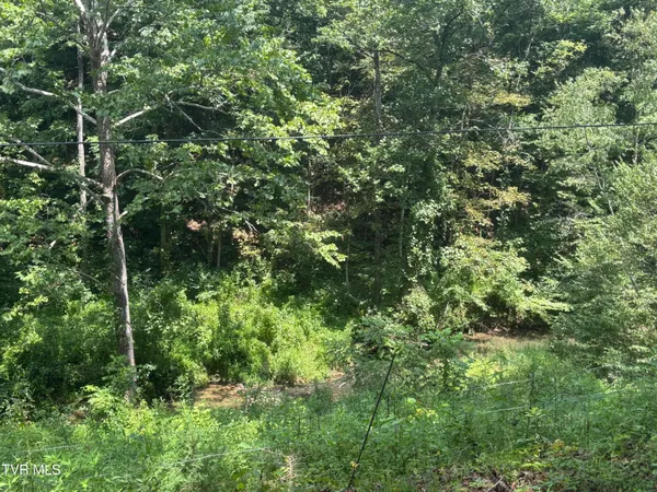 $74,999 | Tbd Old Friendship Road, Jonesville, VA 24263