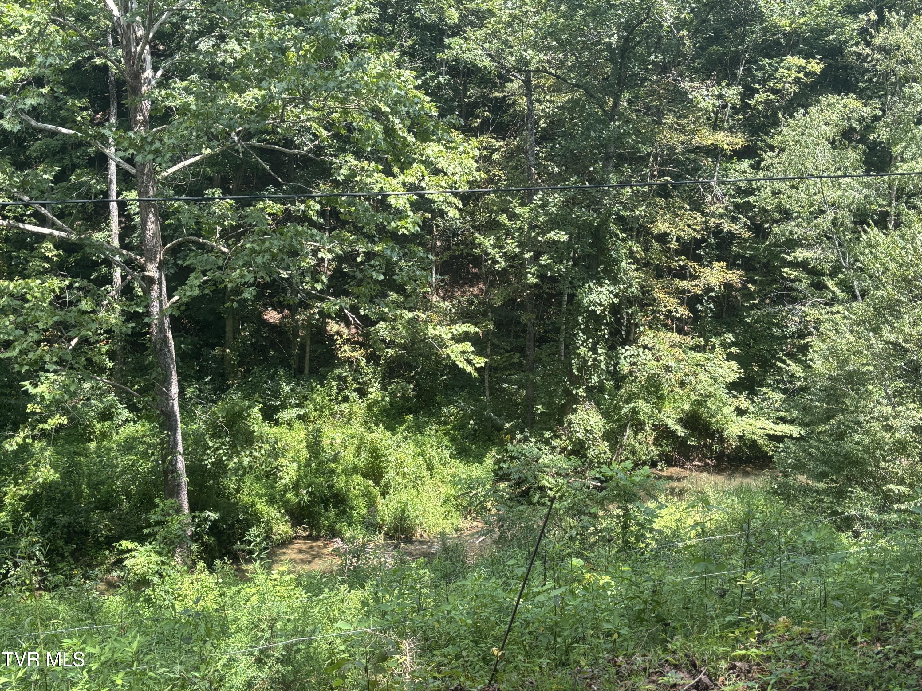 Tbd Old Friendship Road Jonesville, VA 24263 - Photo 7 of 11 IMG_3229