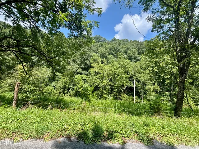 $74,999 | Tbd Old Friendship Road, Jonesville, VA 24263