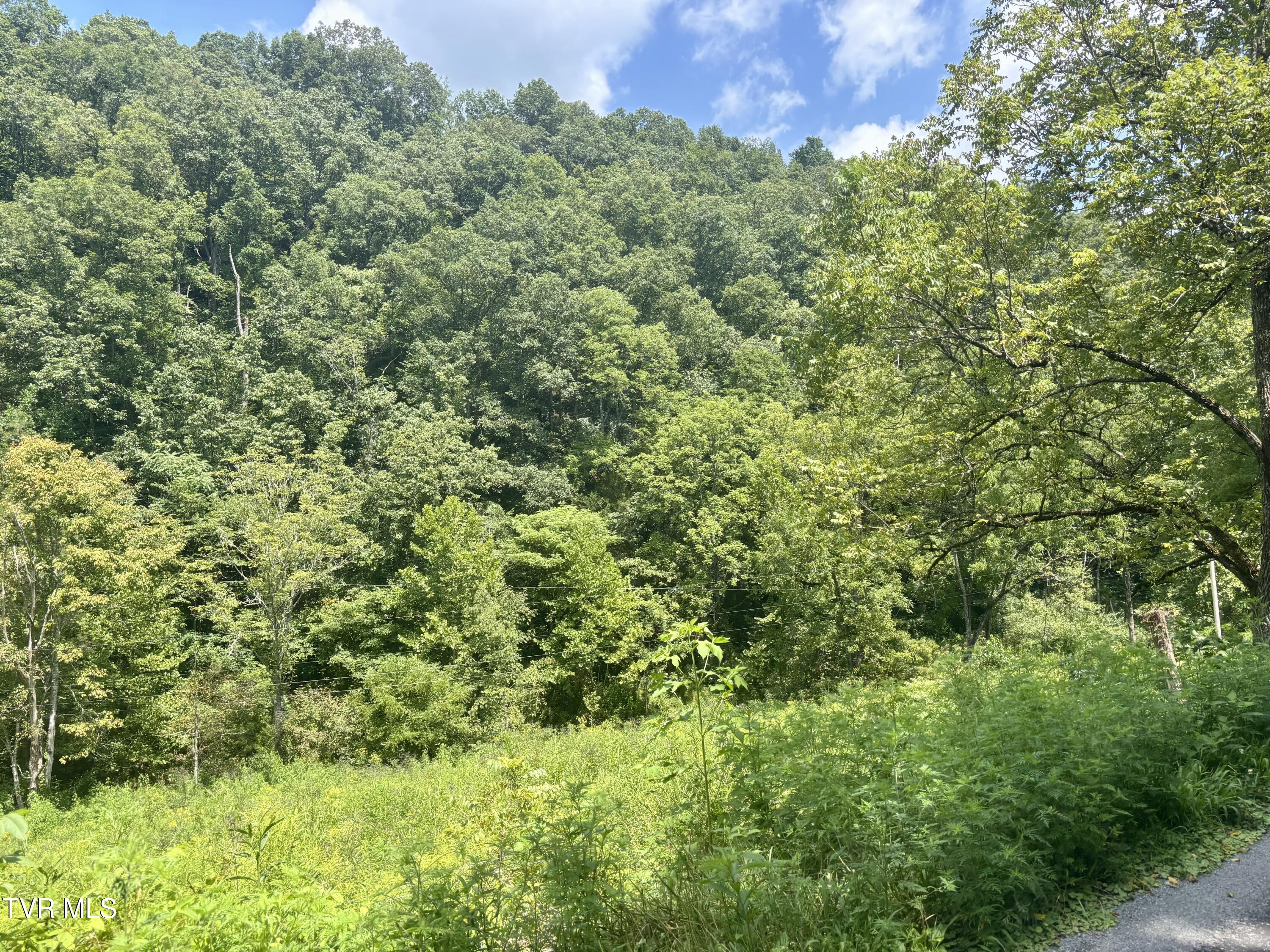 Tbd Old Friendship Road Jonesville, VA 24263 - Photo 9 of 11 IMG_3225