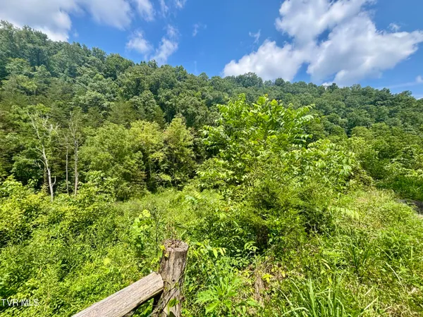 $74,999 | Tbd Old Friendship Road, Jonesville, VA 24263