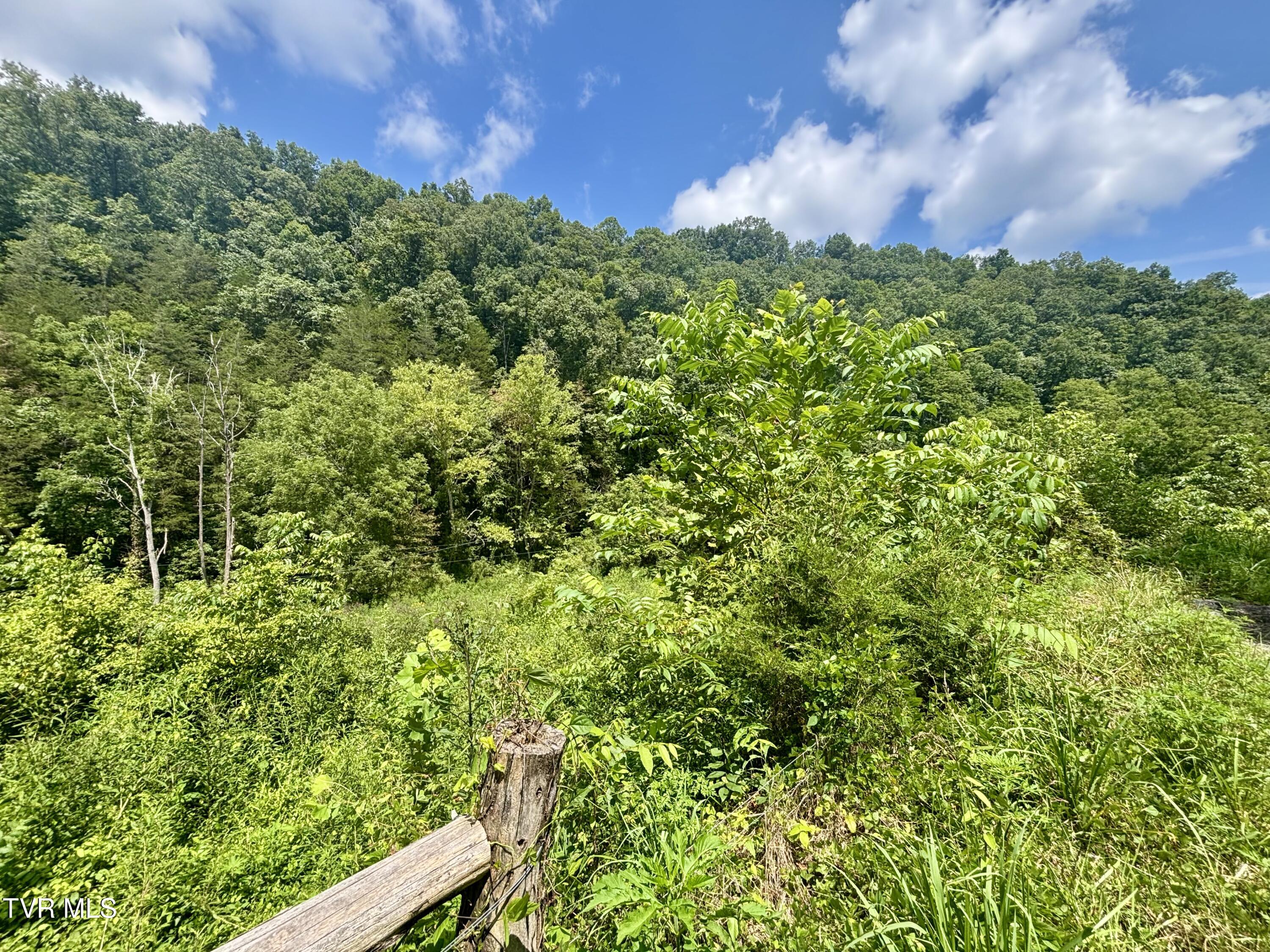 Tbd Old Friendship Road Jonesville, VA 24263 - Photo 10 of 11 IMG_3223