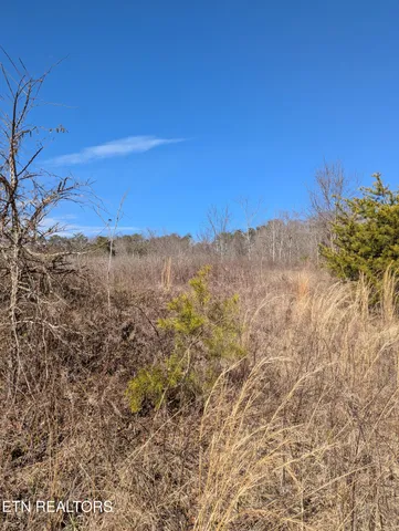 $38,400 | Whispering Court, Bean Station, TN 37708