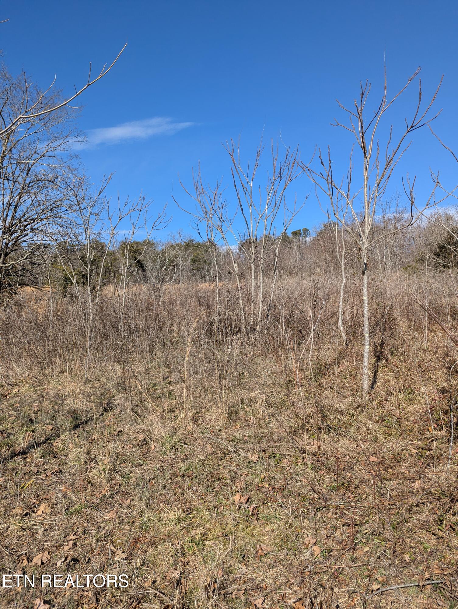 Whispering Court Bean Station, TN 37708 - Photo 5 of 11 PXL_20260121_170623807