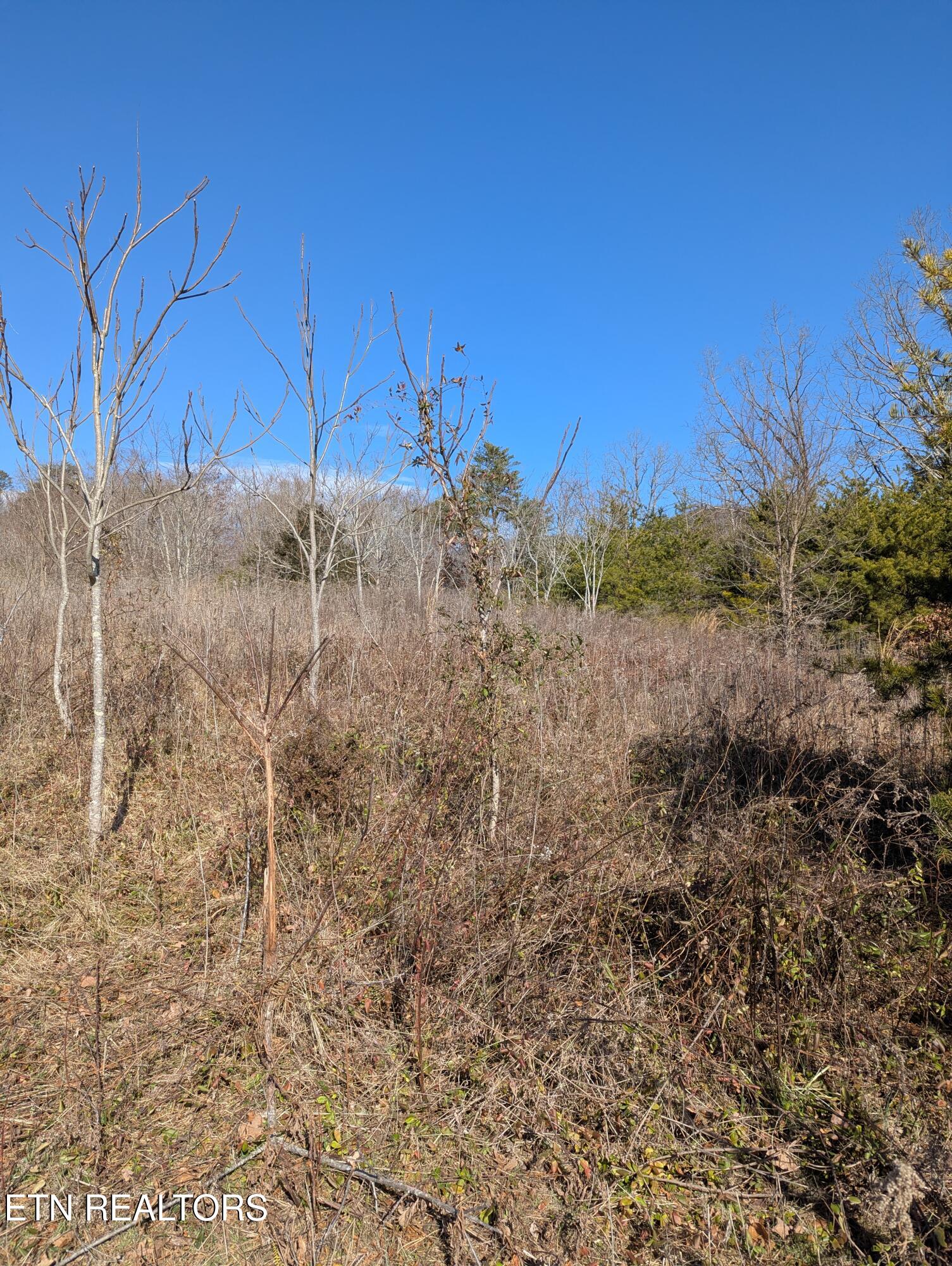 Whispering Court Bean Station, TN 37708 - Photo 6 of 11 PXL_20260121_170626607.MP