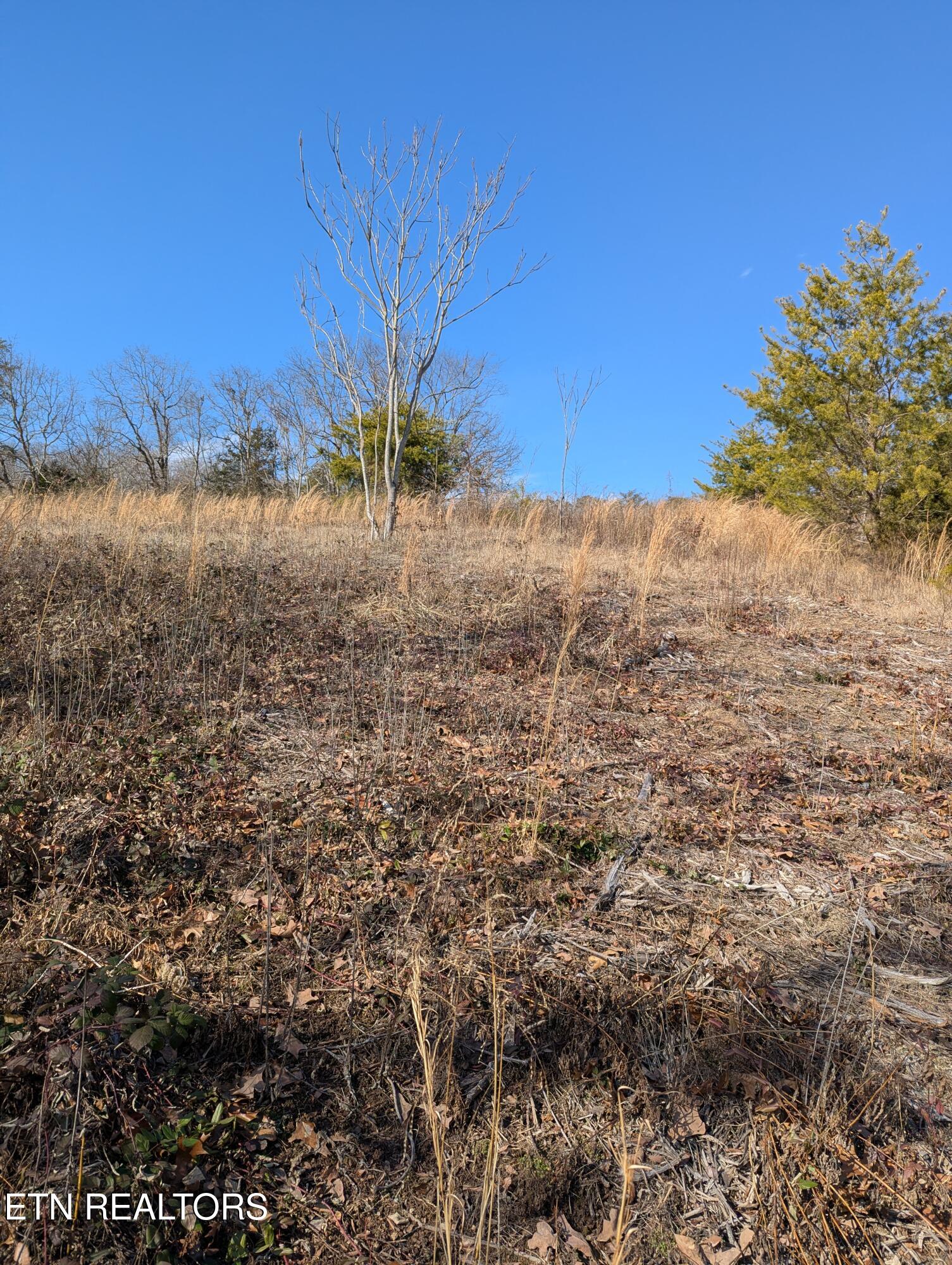 Whispering Court Bean Station, TN 37708 - Photo 8 of 11 PXL_20260121_170207573