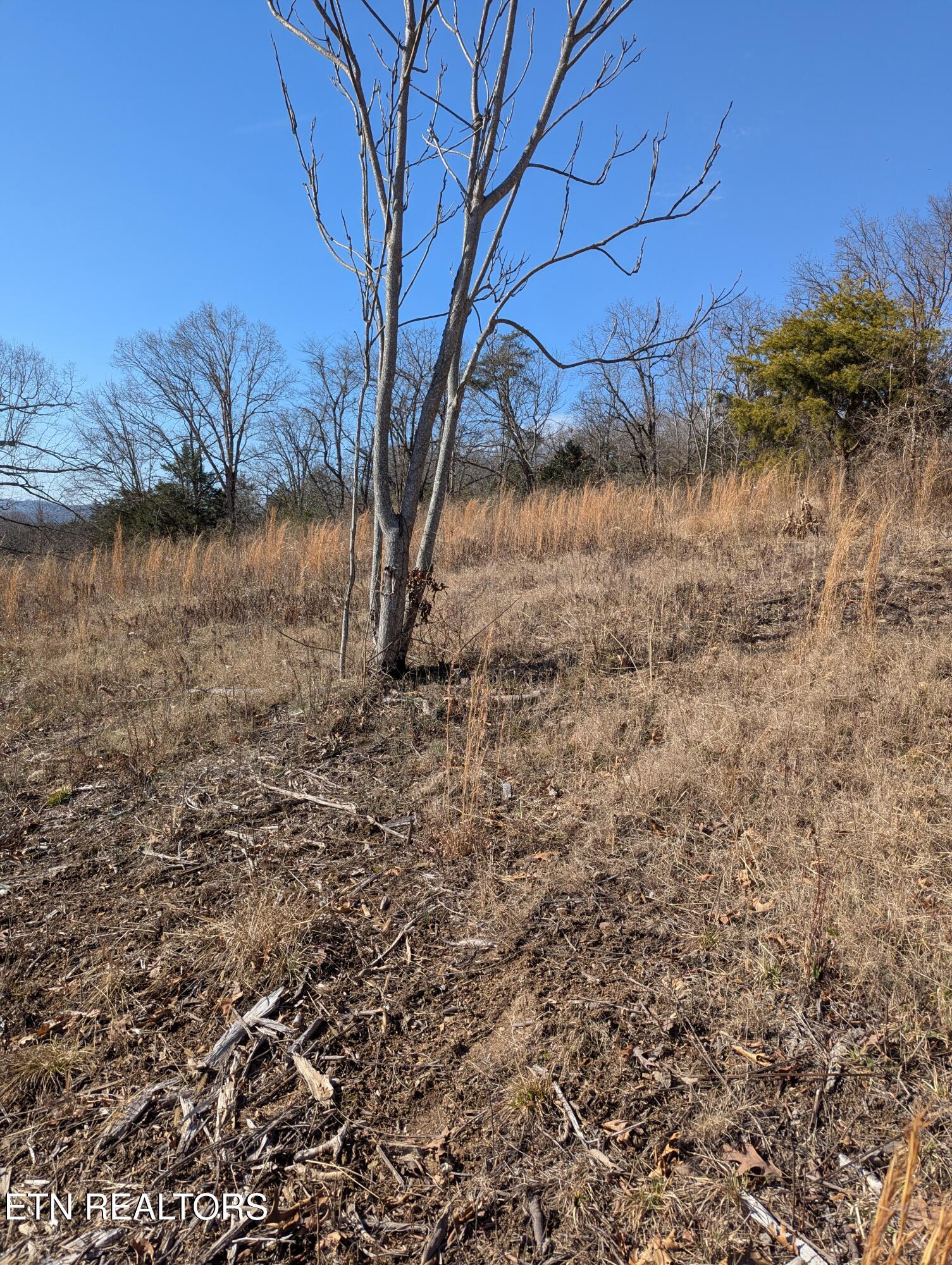 Whispering Court Bean Station, TN 37708 - Photo 10 of 11 PXL_20260121_170525622